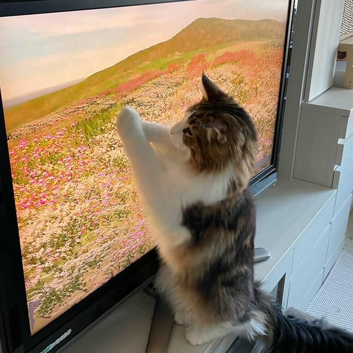 7b751620 a679 4c7d 8ef3 20a5969f7a44 1657053661118