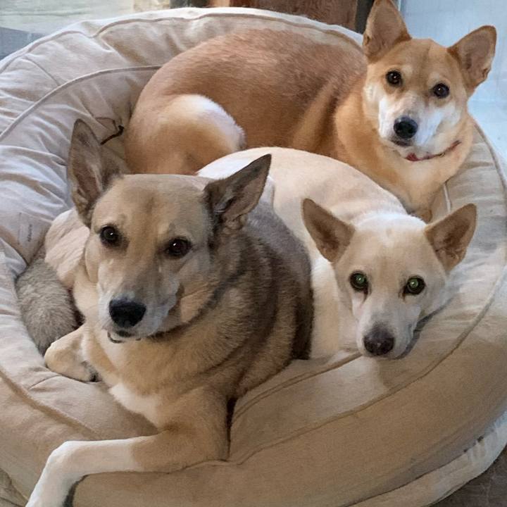 7b751854 683f 441c a65a d7da6d740316 1668222331497