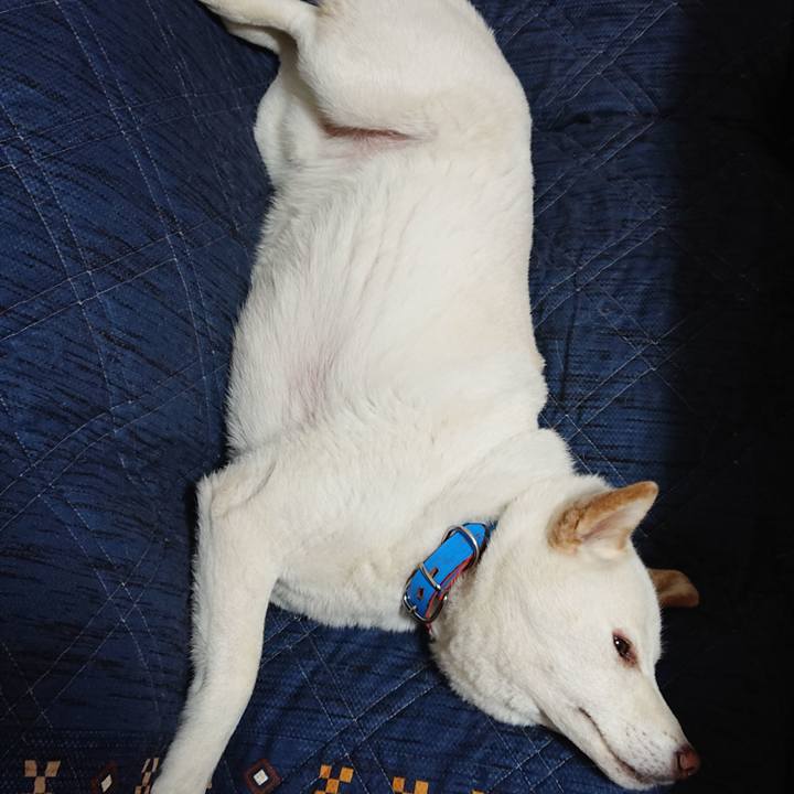 7b751ce4 403a 4ad6 be52 d2239322fb13 1590759934572