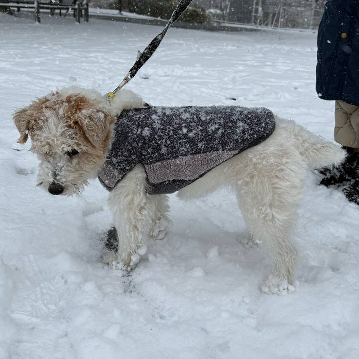 7b754147 065c 4a1f b212 4c519cf093b5 1770540753362