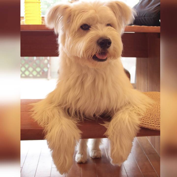 7b754bc9 f30a 47fd 8ed8 96cc41d45c2e 1646299853701