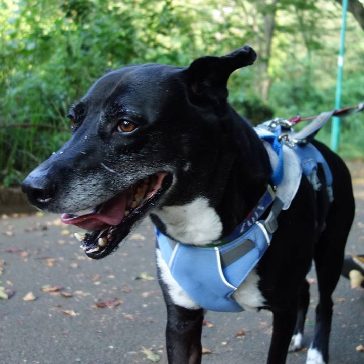 7b755097 386d 46bc 8cb2 e332678013e6 1723504817226