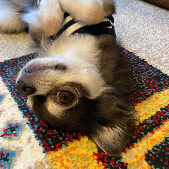 7b757dc0 36d1 48b3 9263 e461b03271b4 1714840284438