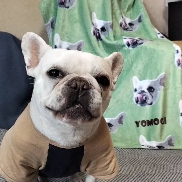 7b758e42 2f1e 4d4c b8e1 9533bc448d6f 1677623536386