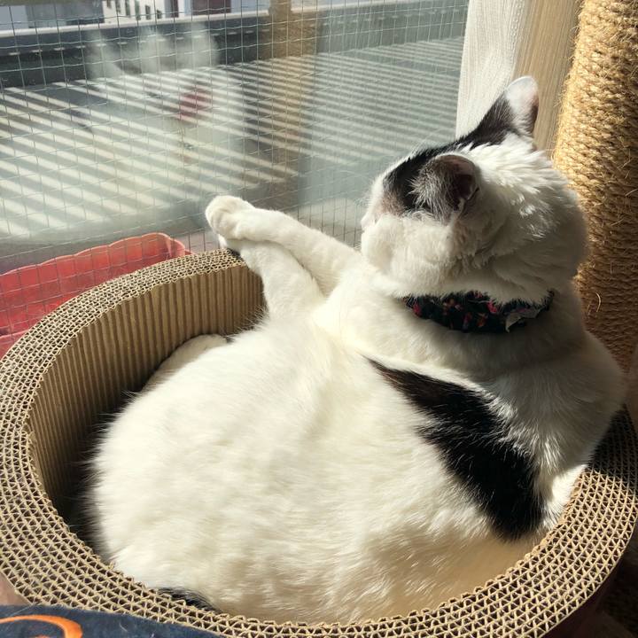 7b75ac14 3cc7 4c48 836f 4eaf959f07aa 1522473304818