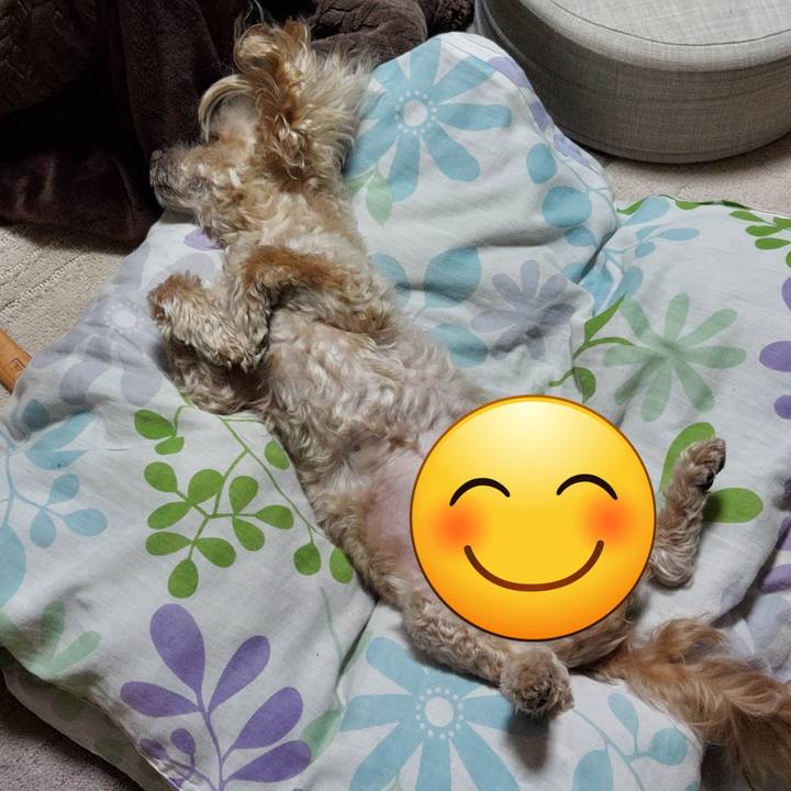 7b760ef7 5cf4 4349 8bef d58dcbbd7f9e 1742632991448