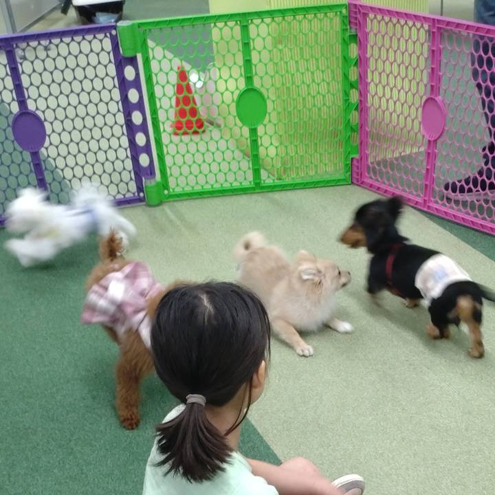 7b76355e ebd5 42ca 9608 217fc7ae97f7 1727656907173