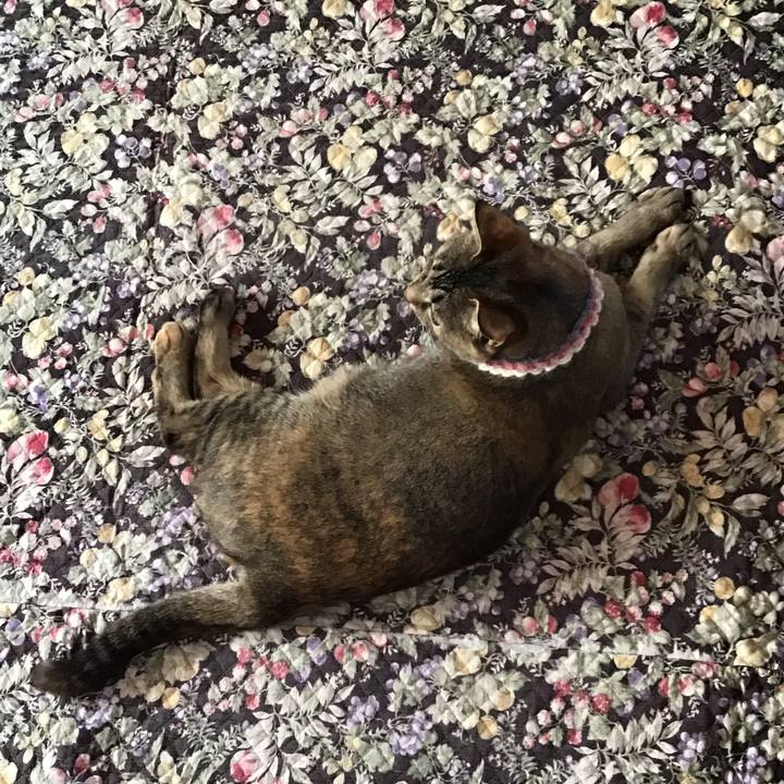 7b763880 f1e2 45c4 8b1b ed7bb99c2597 1618794685797