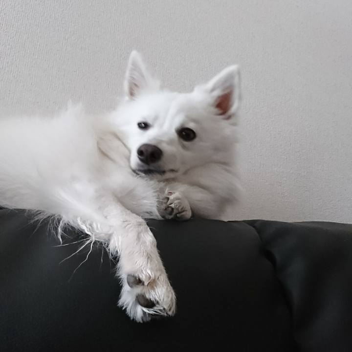 7b763cd1 ec68 4d4f b3dd 554664ebd4e6 1517376865199