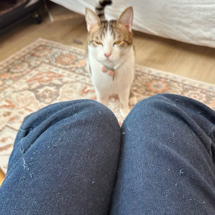 7b767670 36bc 40d0 9688 74422f16402f 1770784155619