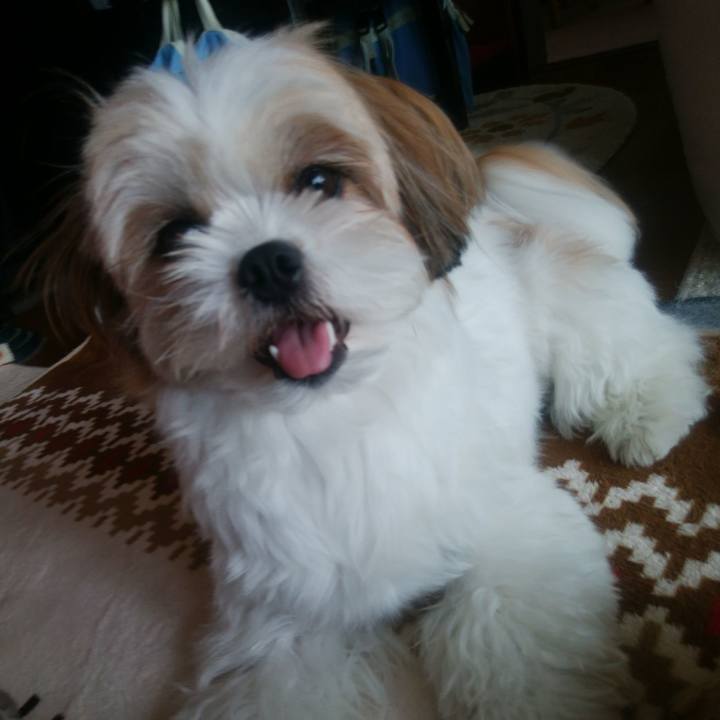 7b768813 c50c 48ae bb9d 3362b67b853a 1510706965151