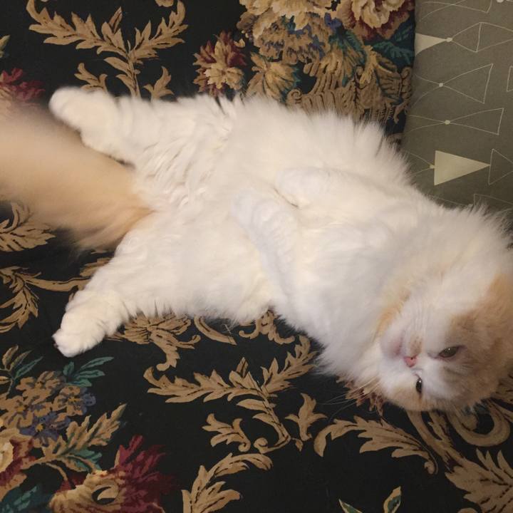 7b76a034 5748 4a01 b36c 9e55f5117b68 1590067268660