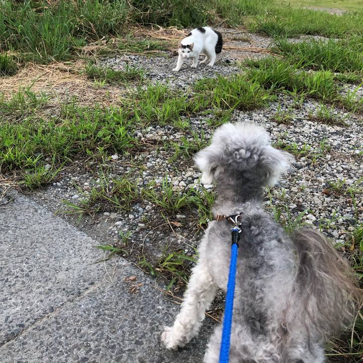 7b76bbae 3841 4dd3 813f eb637f7cdfa0 1707263585795