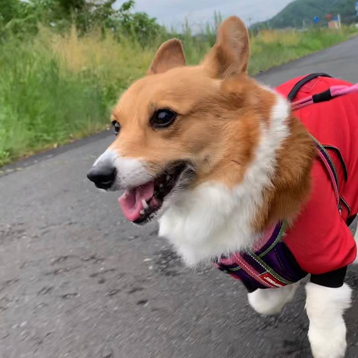 7b76ddbe 92f0 436c ac35 20ce05e5b78a 1652064003080