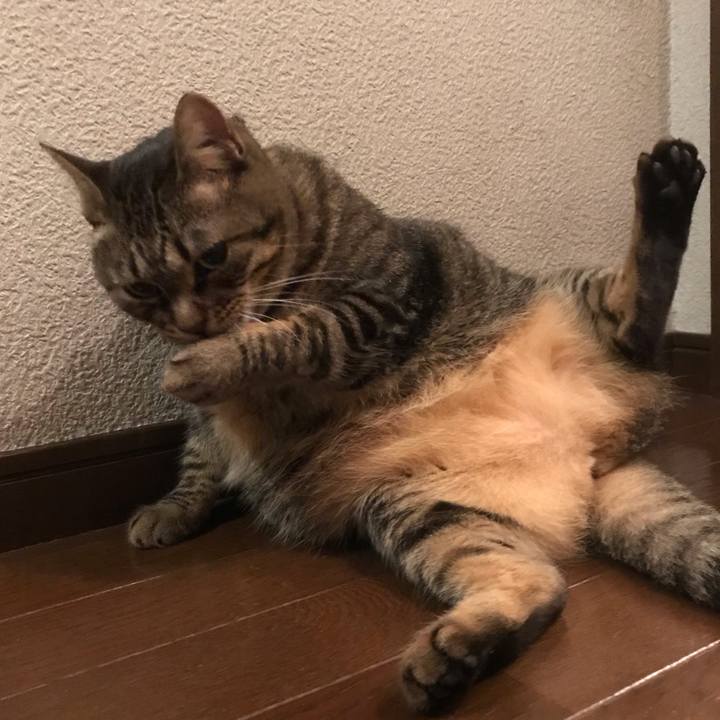 7b76ed2a 6d6a 4291 a4db 53ce51446499 1563283473266