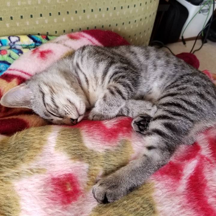 7b772441 ef5f 43d1 b5a8 c46b3c2523e1 1665763036070