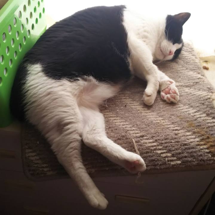 7b772eb2 f345 4f6c a5bd b384f69749c8 1585883176194