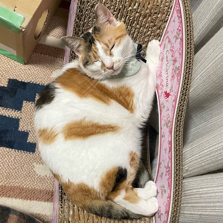 7b774a4d 05cb 45a3 a47b 9bb6031a9ad4 1686755106923