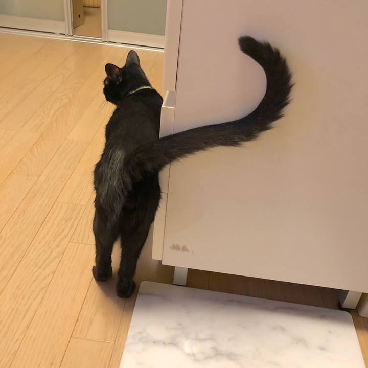 7b77714b a52c 4380 af78 572dd0cfdced 1532356796927