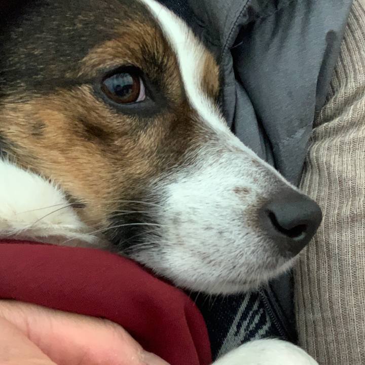 7b777f9a 5a87 4340 98c3 667962a7d948 1581163048520