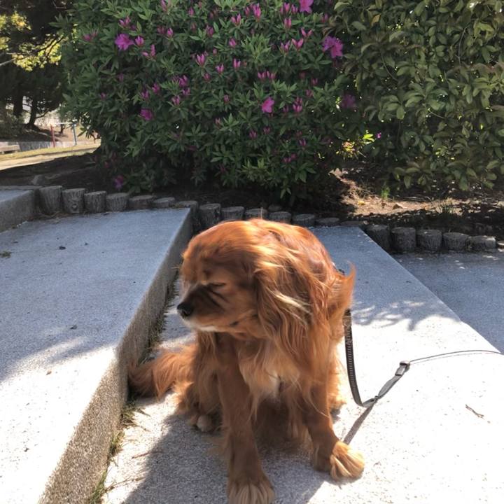 7b77828b 08b0 47ef ab04 a71cd2d6b9f6 1618871184748