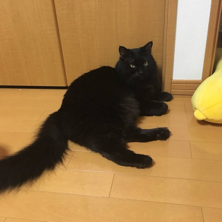 7b779d0f 7573 4c90 8c08 948326b04b3d 1537018959501