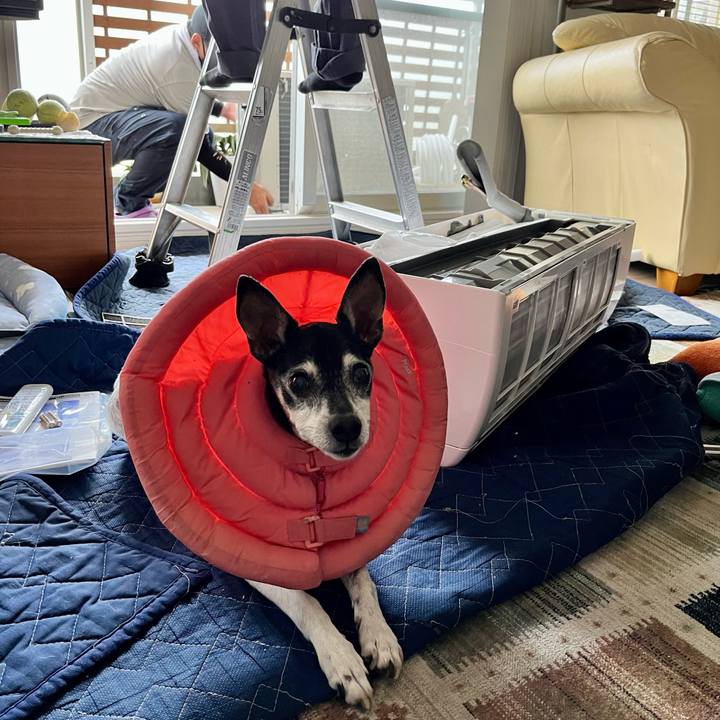 7b77efac 5834 437e b76a a98ba81b462d 1654932717505