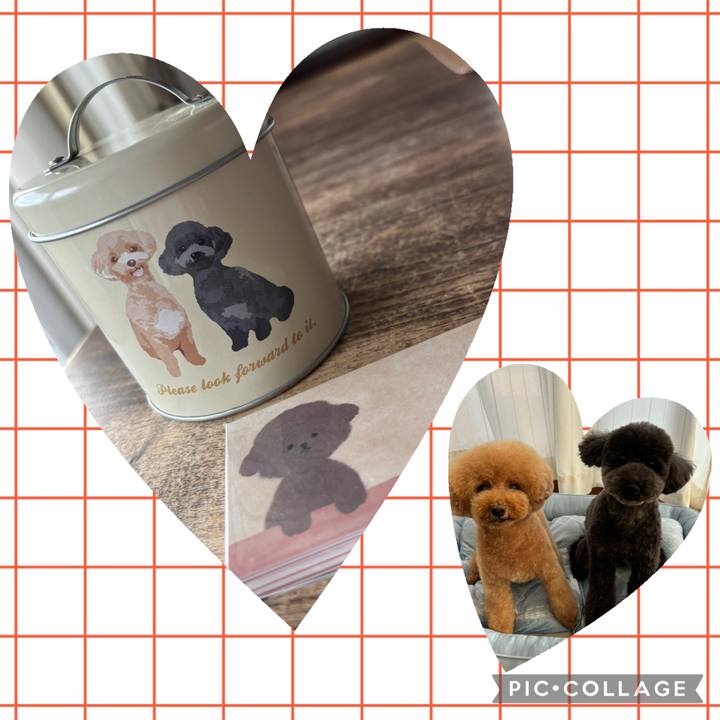 7b77f46f 3a64 44a8 889f 644c15f26e2d 1758179050952