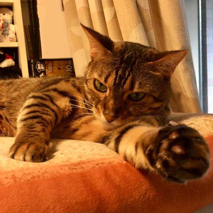 7b7882ed 47cd 4cd7 ba1d db1eecda01e5 1533425144397