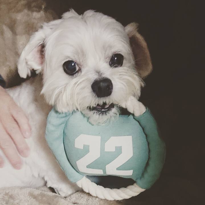 7b78deb5 c373 4948 a851 cda7ae8b9cf3 1649506495977