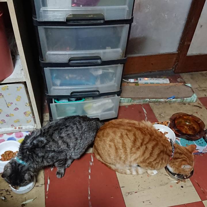 7b78fd71 2c14 4586 815e 2efe60628d51 1573943410447