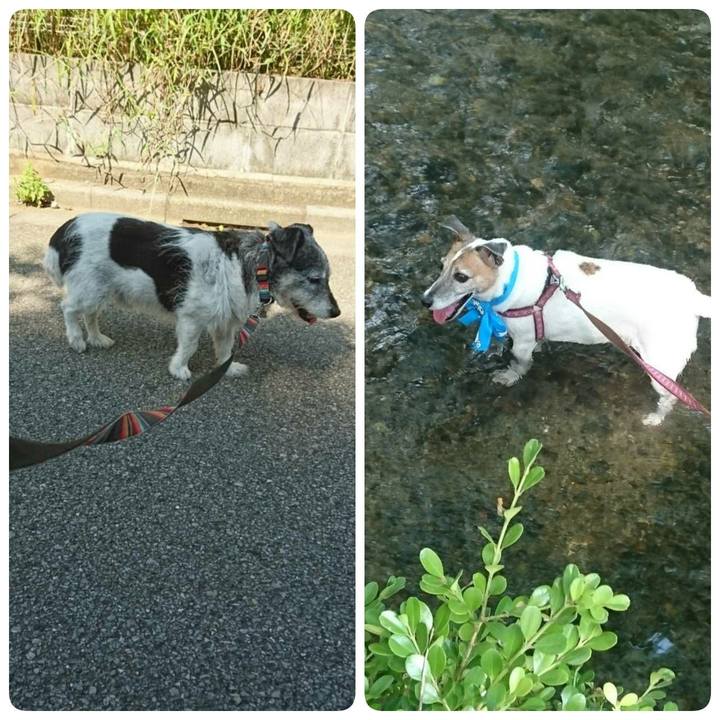 7b78ffad b72a 4620 b97d 1854dbb1d2a3 1533859610072