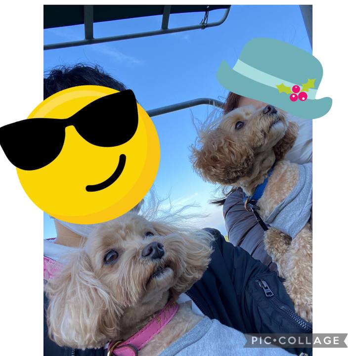 7b79502f 8d7a 4447 a3aa 1b3acfd99d6e 1668983406125