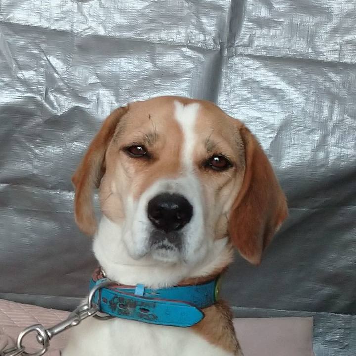 7b796e8e 0211 4023 ae2a 49bd9c665f4e 1605152413200