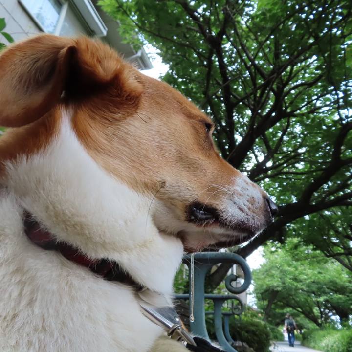 7b798c82 c613 4778 8573 4d6f0026d8da 1622765139515