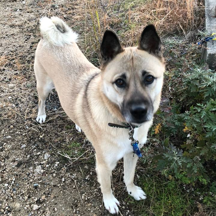 7b79b1e0 c3a4 4e29 99f3 4a3a66929758 1548075917054