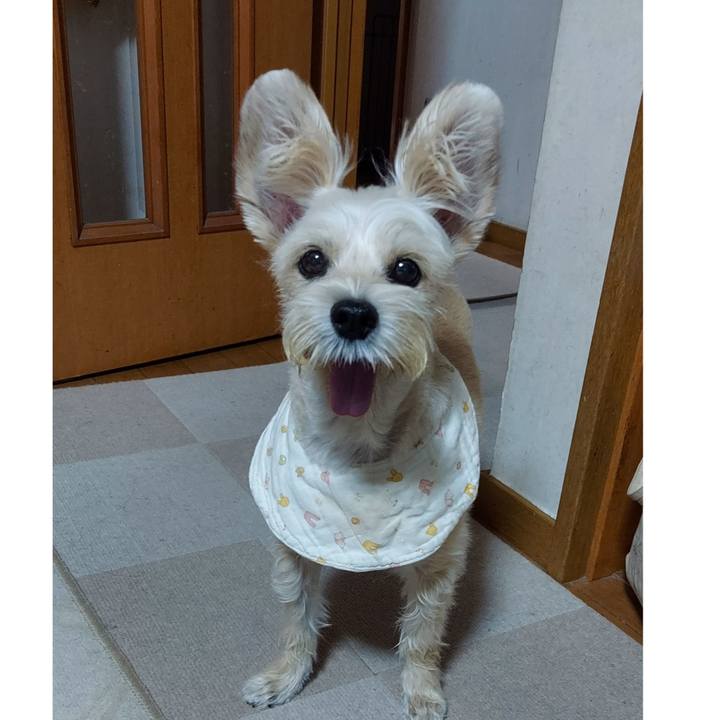 7b79f259 4442 4b64 b11b bf6fc5b870a1 1694429298367