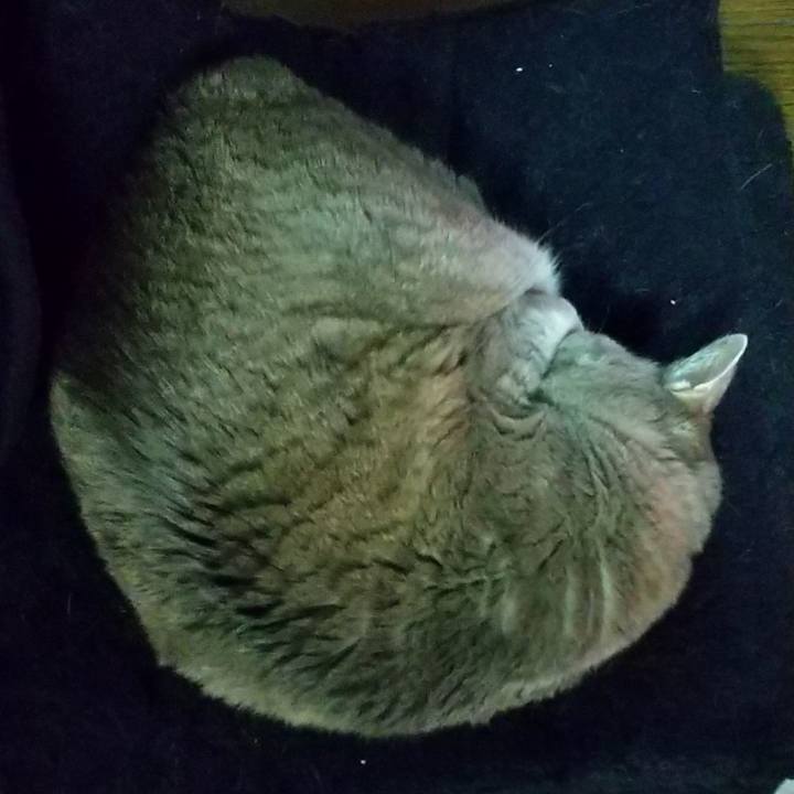 7b79f417 7a37 4a55 8909 6bf4218b0749 1647921392905