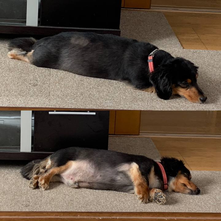 7b7a3ad1 35d8 493e ac1f 70dc81ffeaca 1563579606885