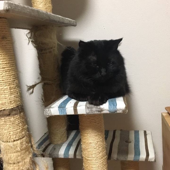 7b7b42f4 d2c2 4a46 a30a 18f954bb3212 1521028542770