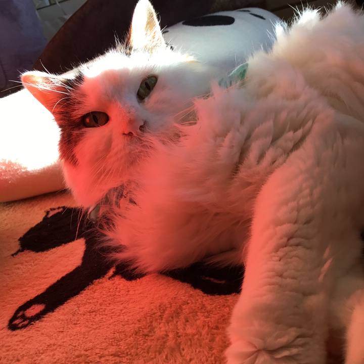 7b7b547d e727 4bf7 a8bd 06767e708f01 1575007047668