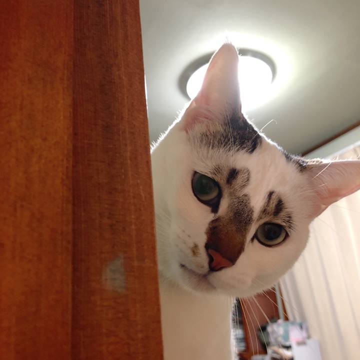 7b7b57e1 50a5 4bf9 acc6 acec697d14ee 1522575381954