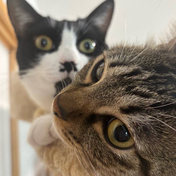 7b7b6f10 1d6e 48da bd94 47bd2937a76e 1764983017044