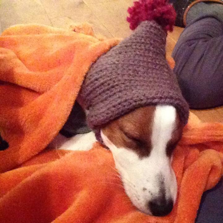 7b7b754f 0924 4986 a6e7 17a6ef2552f7 1512981867848