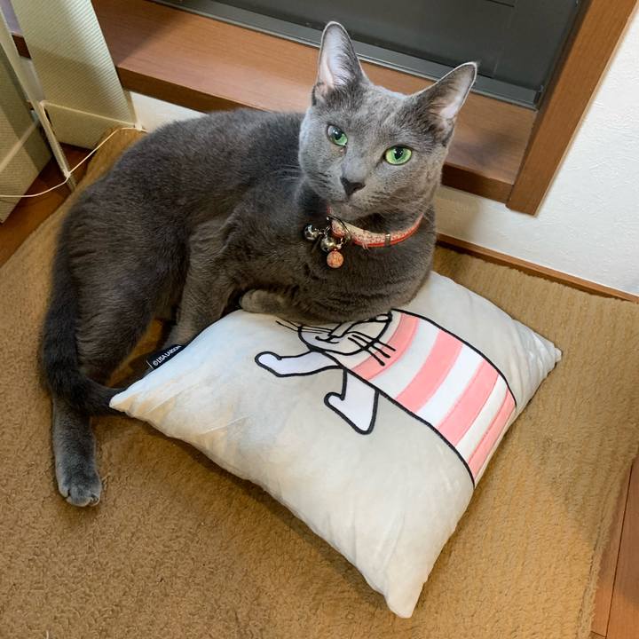 7b7ba129 f829 4997 bb70 3bdd4ce2b9c2 1606204775854