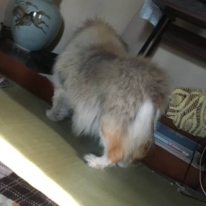 7b7bc351 f422 43c8 a498 e8331155f368 1573980299717