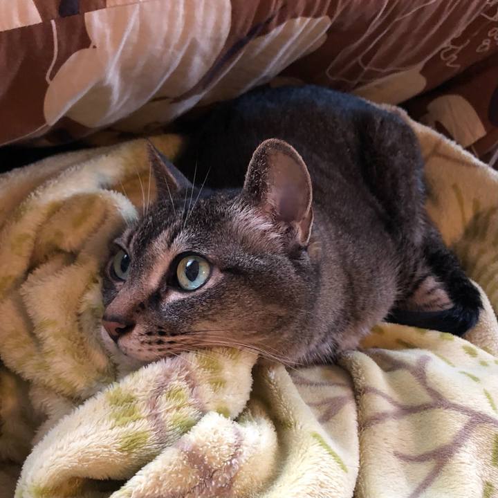 7b7bc71c d938 4c1f 8f7c 9c0e3d4f0640 1652492840013