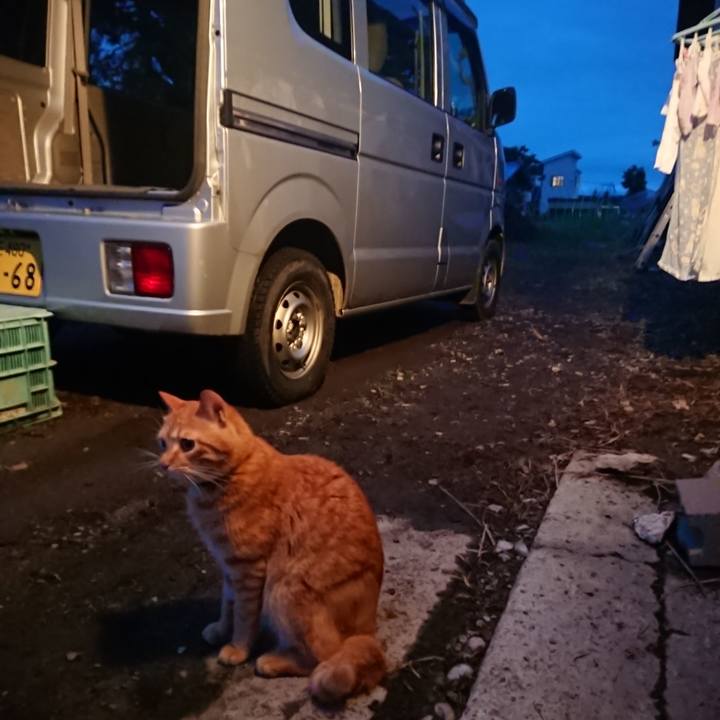 7b7bec21 8239 4d4f 8353 d38c74cb3e73 1659608114622