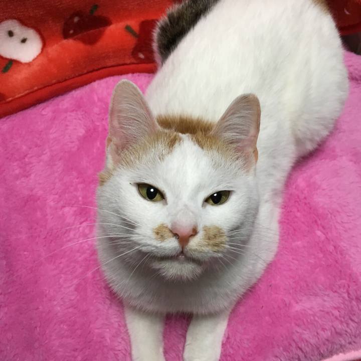 7b7bfbf5 aca4 40ad b142 1fba2e3224d8 1513429993005