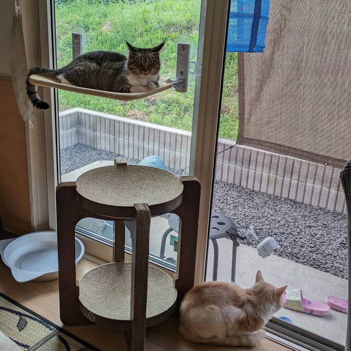 7b7bfced fc16 4fe1 af46 1c7261925f10 1694641909802